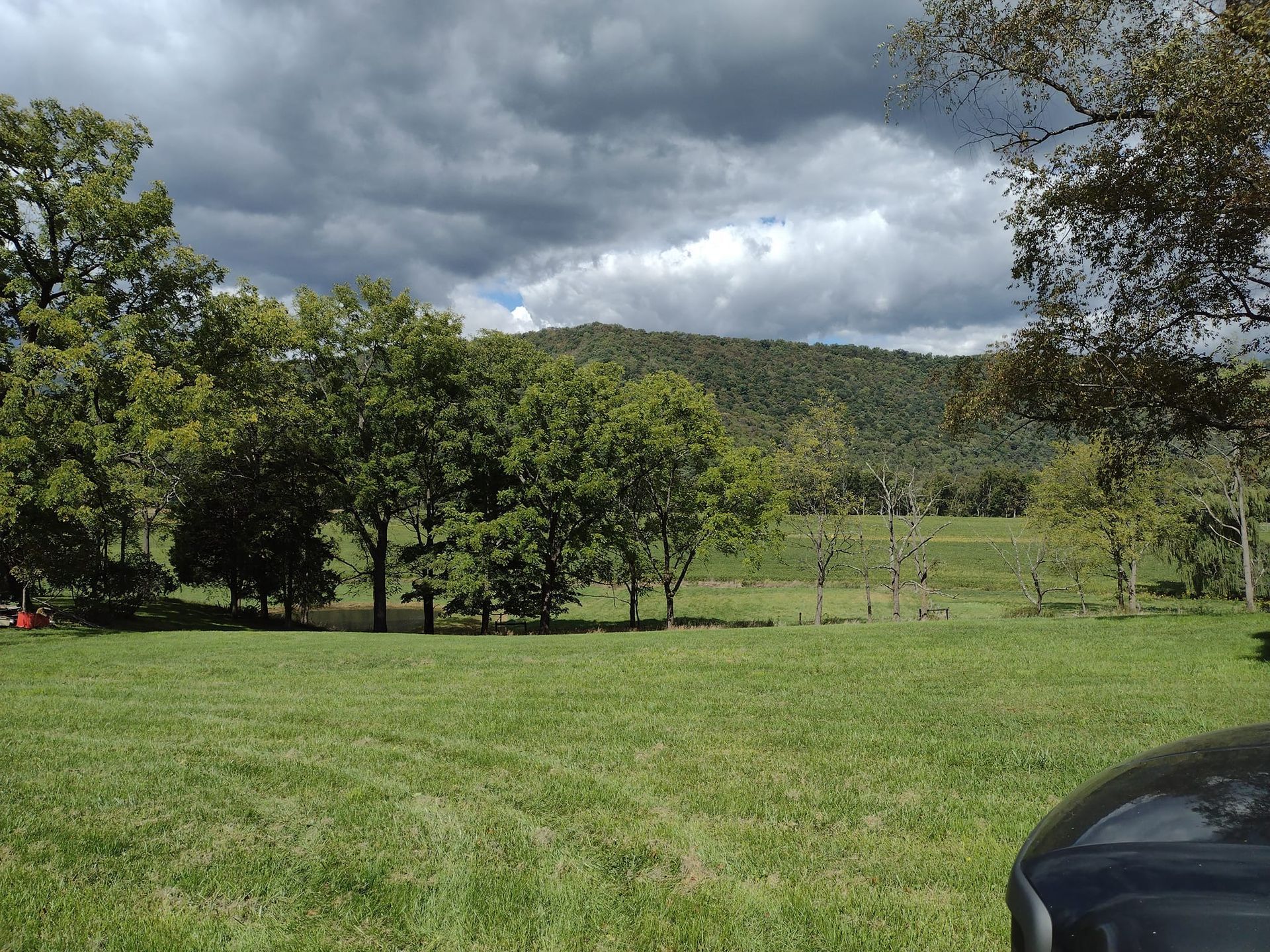 A car is parked in a grassy field with trees in the background.