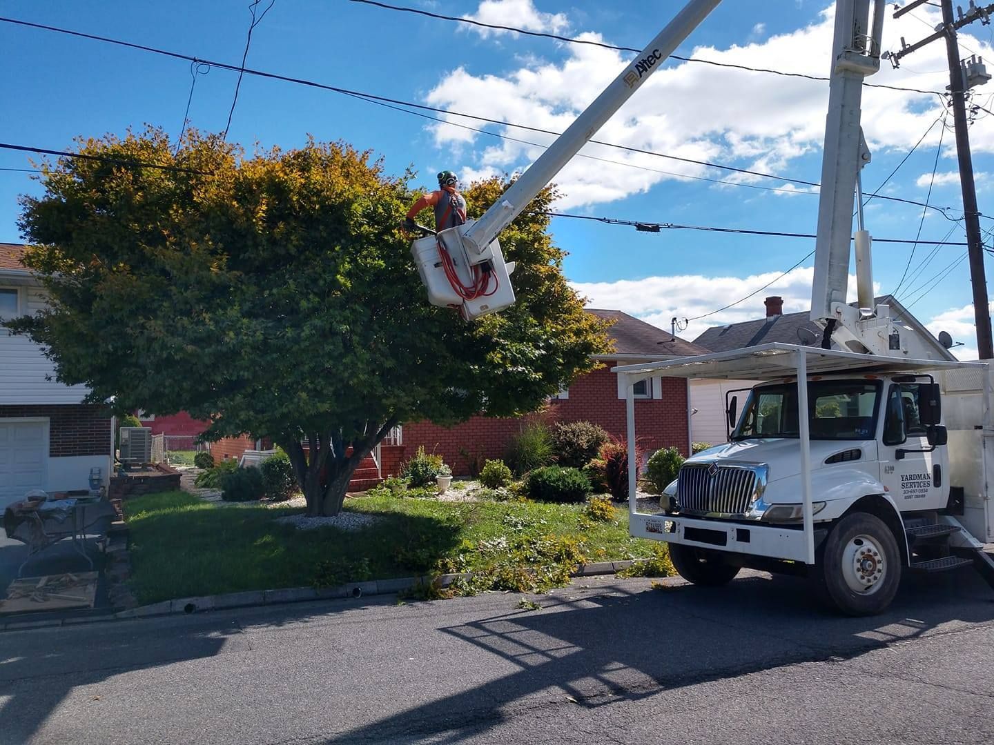 A white truck is parked on the side of the road next to a tree.
