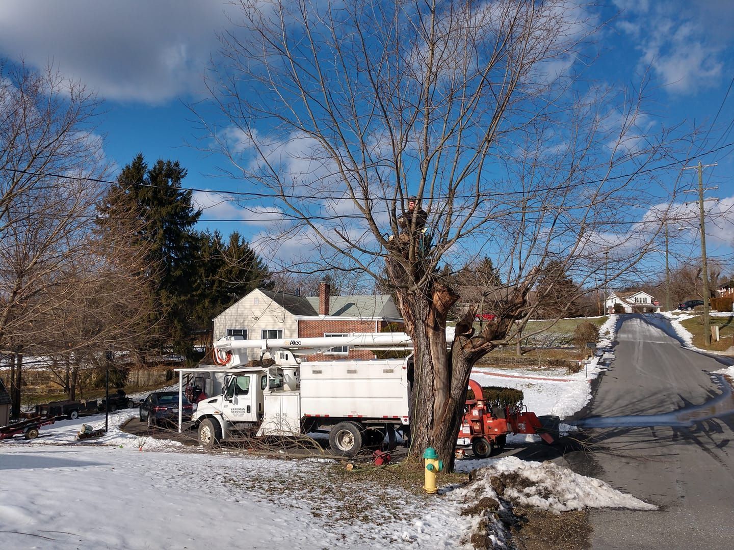 A white truck is parked next to a tree in the snow.