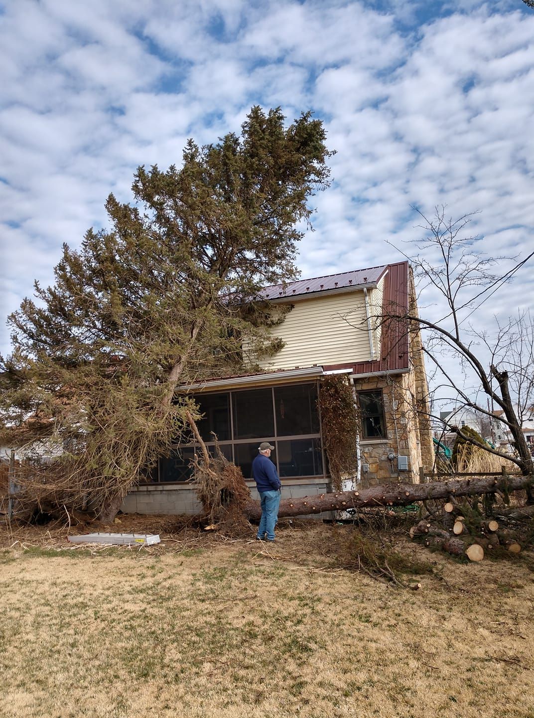 A man is standing in front of a house with a tree fallen on it.