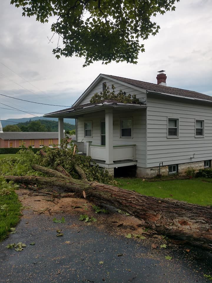 A house with a fallen tree in front of it