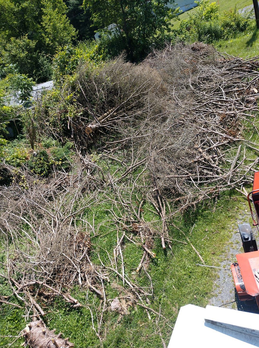 A pile of branches is sitting on top of a lush green field.