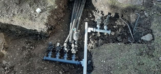 A hose is laying in the dirt next to a rock.