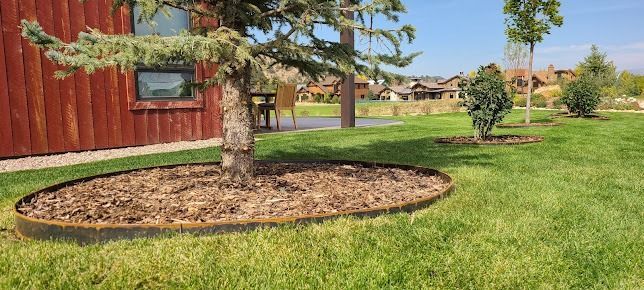 A tree in the middle of a lush green lawn in front of a house.