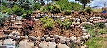 A garden filled with rocks and plants with stairs leading up to it.