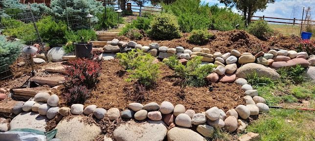 A garden filled with rocks , plants and stairs.