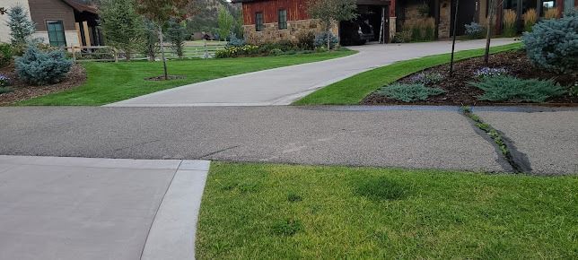 A concrete driveway leading to a house in a residential neighborhood.