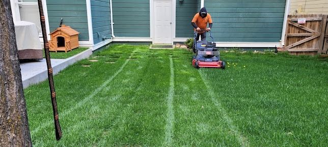 A man is mowing a lush green lawn in front of a house.