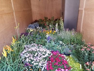 There are many different types of flowers in this garden.