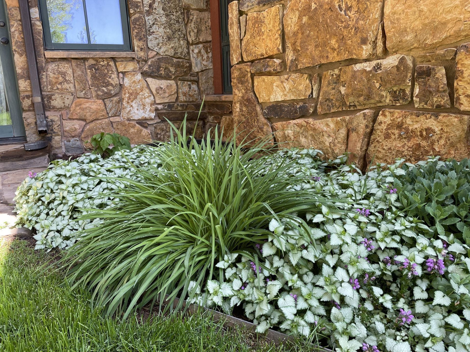 A garden with flowers and plants in front of a stone wall.