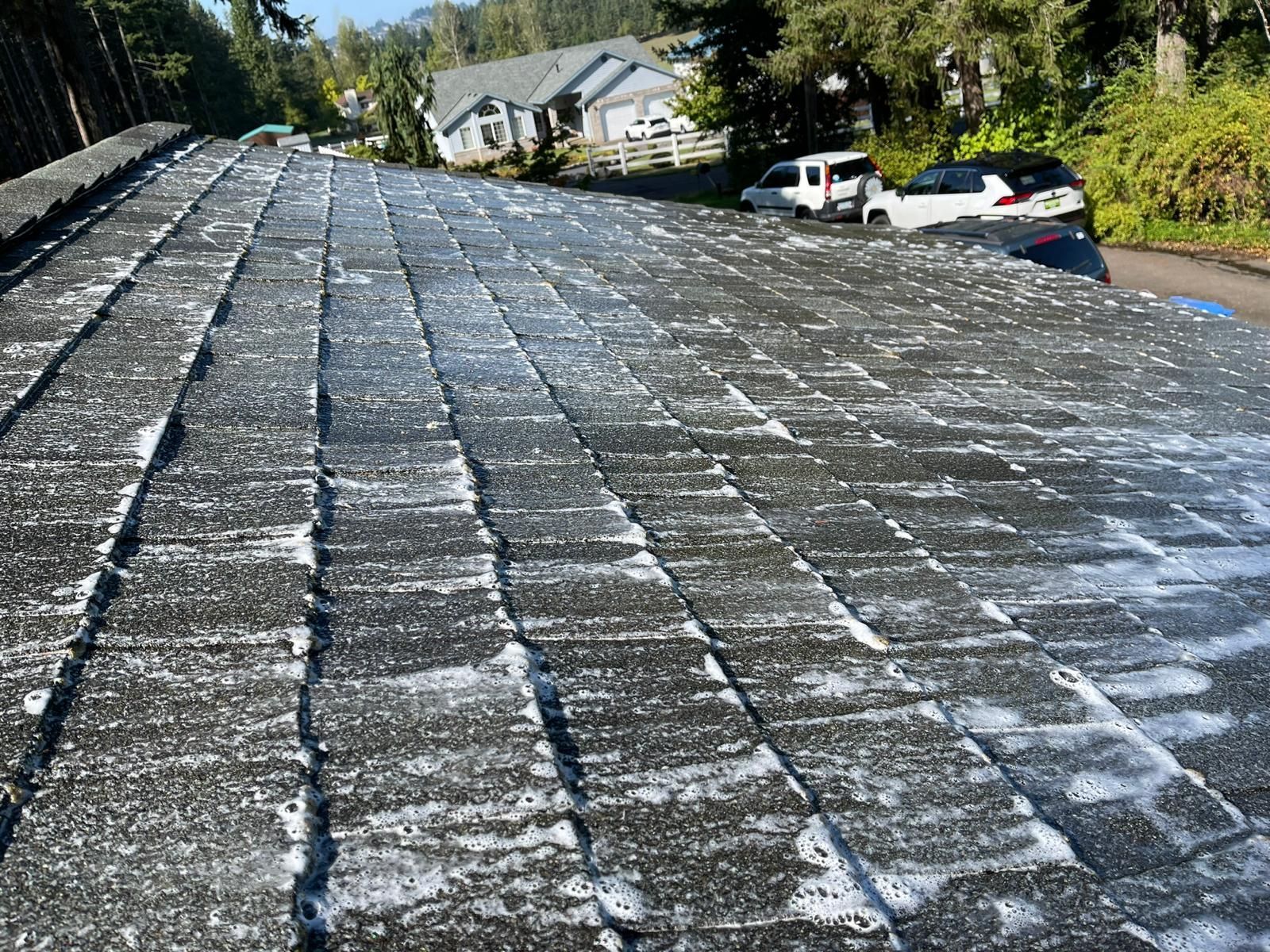 soft washing Portland, OR