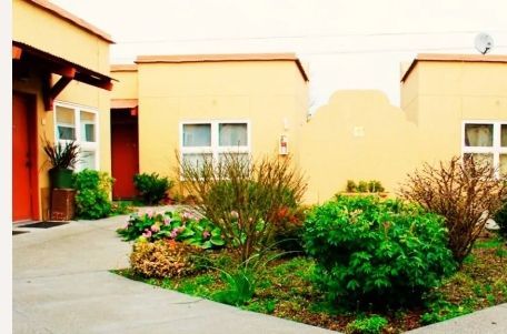 A row of houses with a garden in front of them