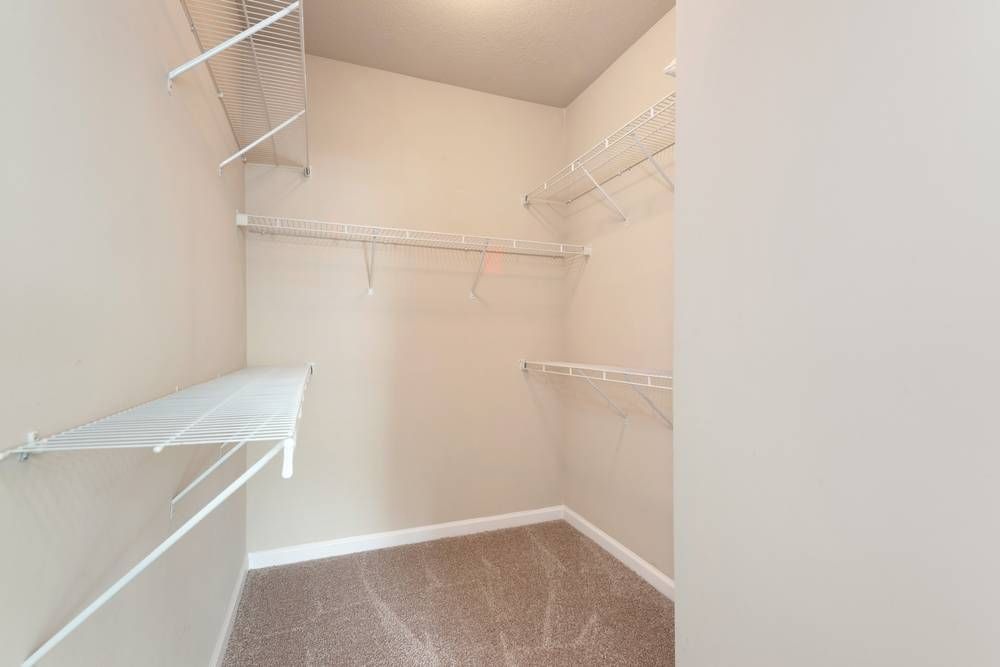 Walk in closet with lots of shelves and a carpeted floor.