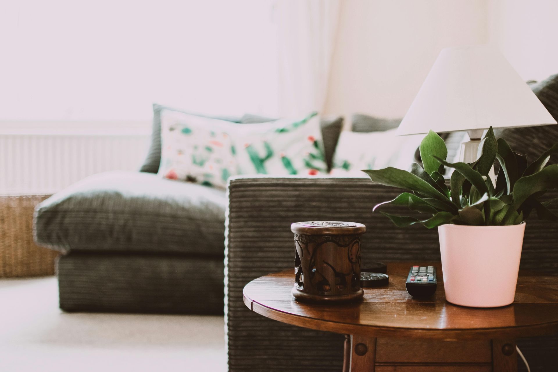 A potted plant is sitting on a wooden table in a living room.