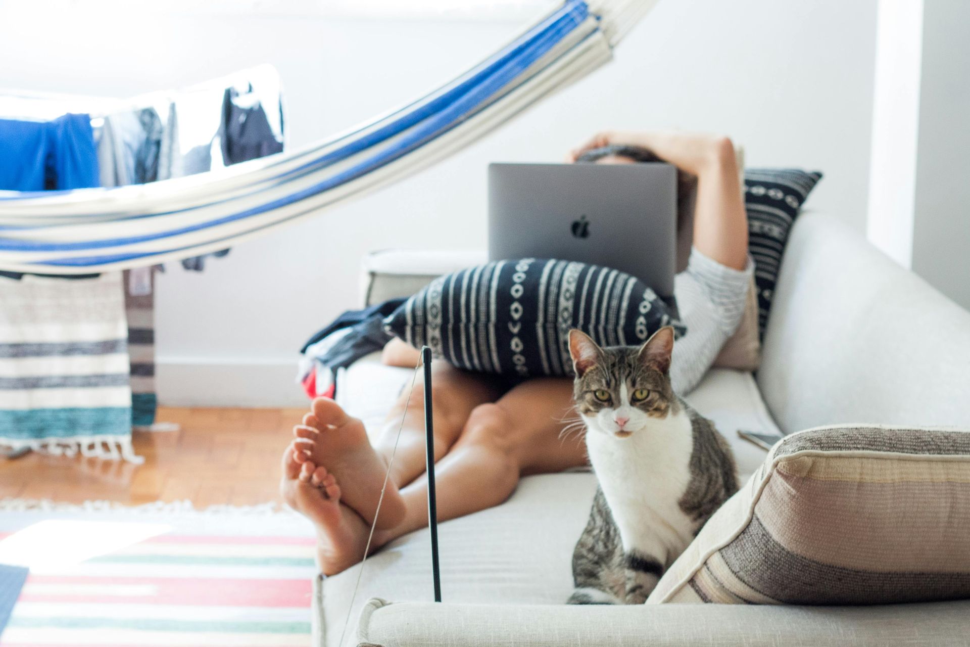 A woman is laying on a couch with a laptop and a cat.