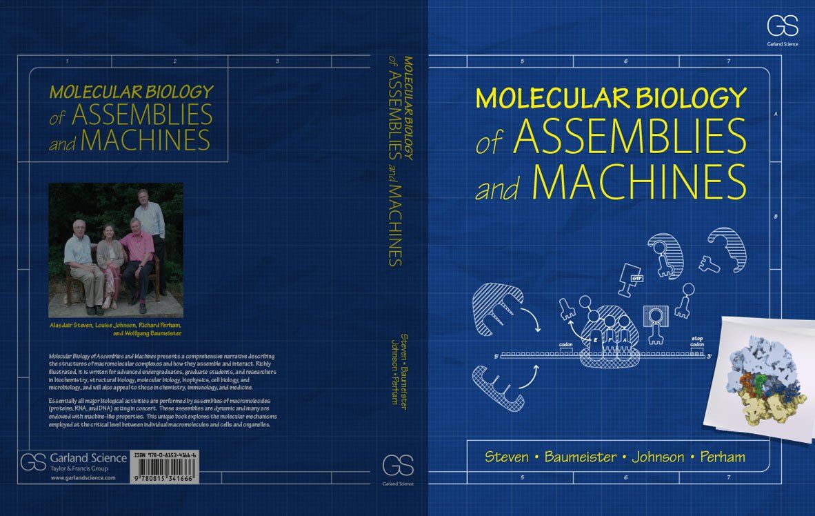 molecular biology of assemblies and machines book cover design
