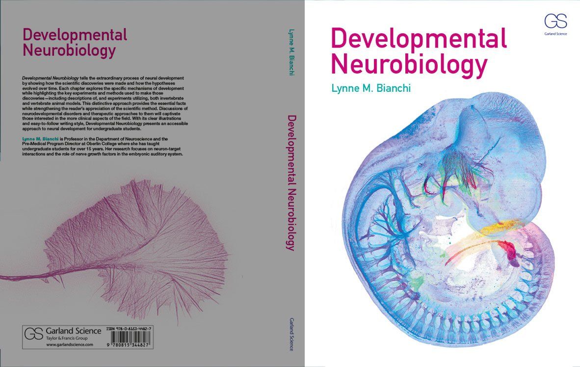 developmental neurobiology book cover design