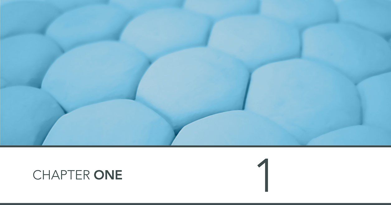 image of cells from modelling clay plasticine