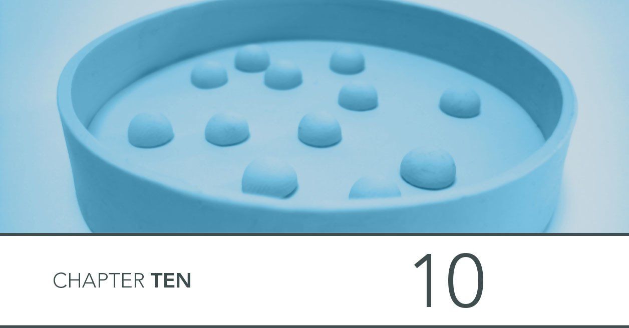 image of petri dish from modelling clay plasticine