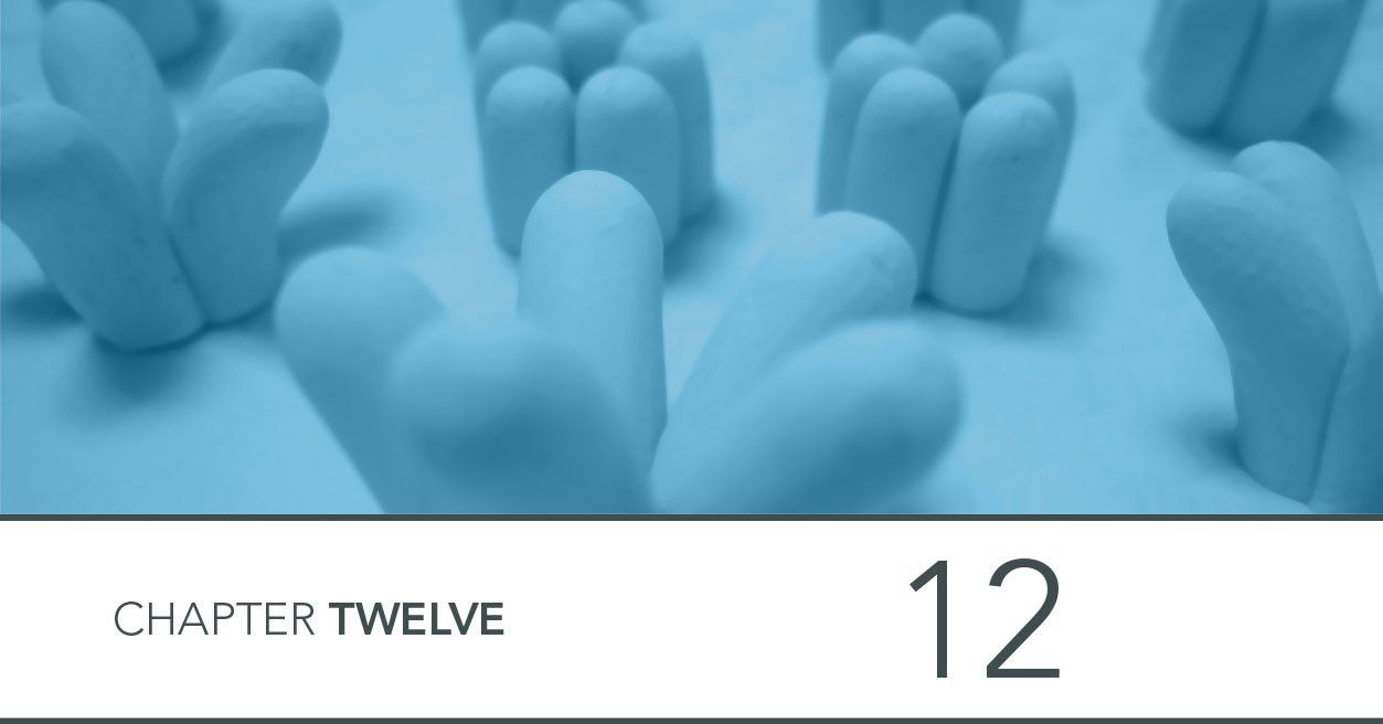 image of membrane transport proteins from modelling clay plasticine