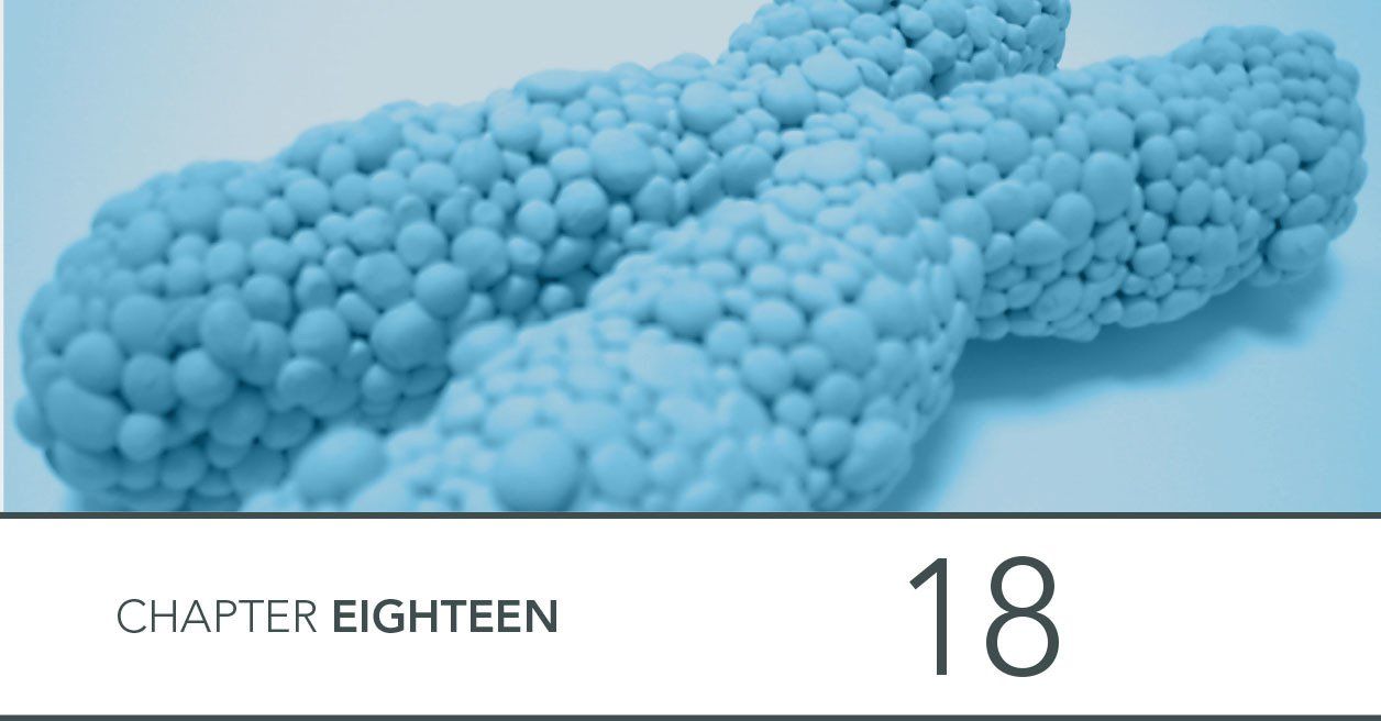 image of chromosome from modelling clay plasticine