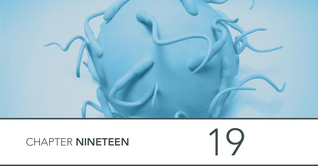 image of sperms fertilising egg from modelling clay plasticine