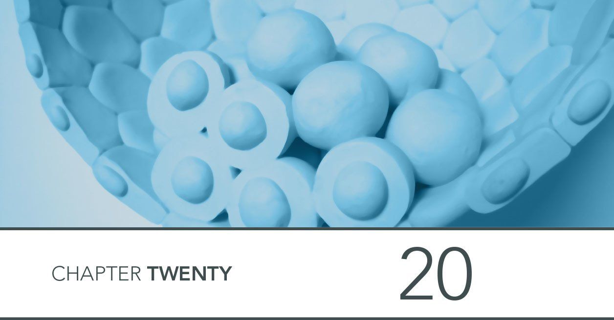 image of inner cell mass of blastocyst from modelling clay plasticine