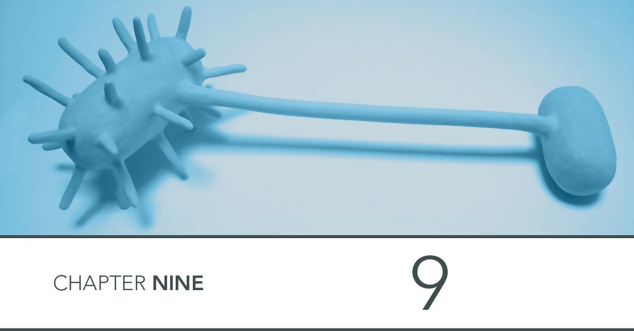 image of bacteria from modelling clay plasticine