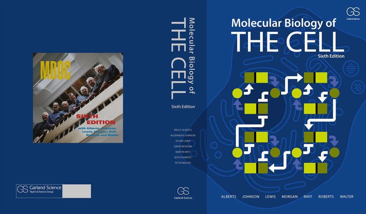 molecular biology of the cell VI book cover design