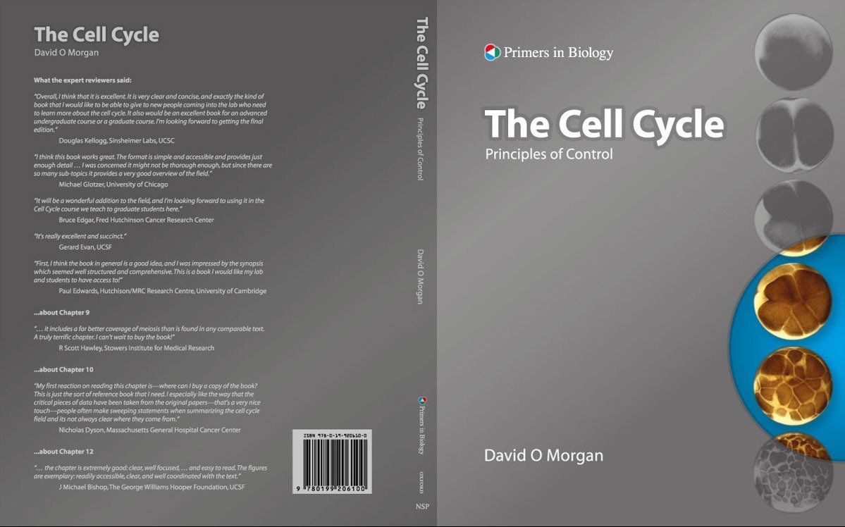 the cell cycle book cover design
