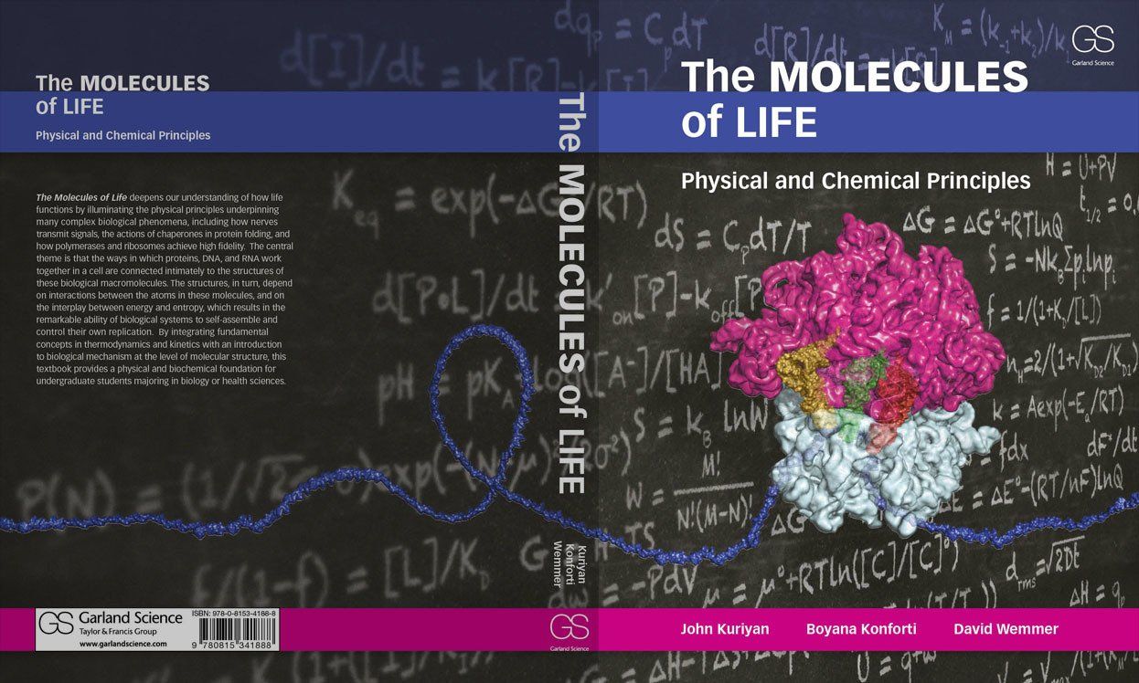 the molecules of life book cover design