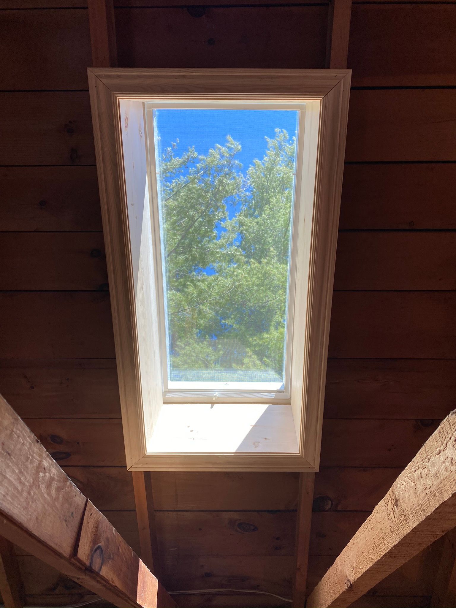 a skylight in the ceiling of a building with trees in the background .