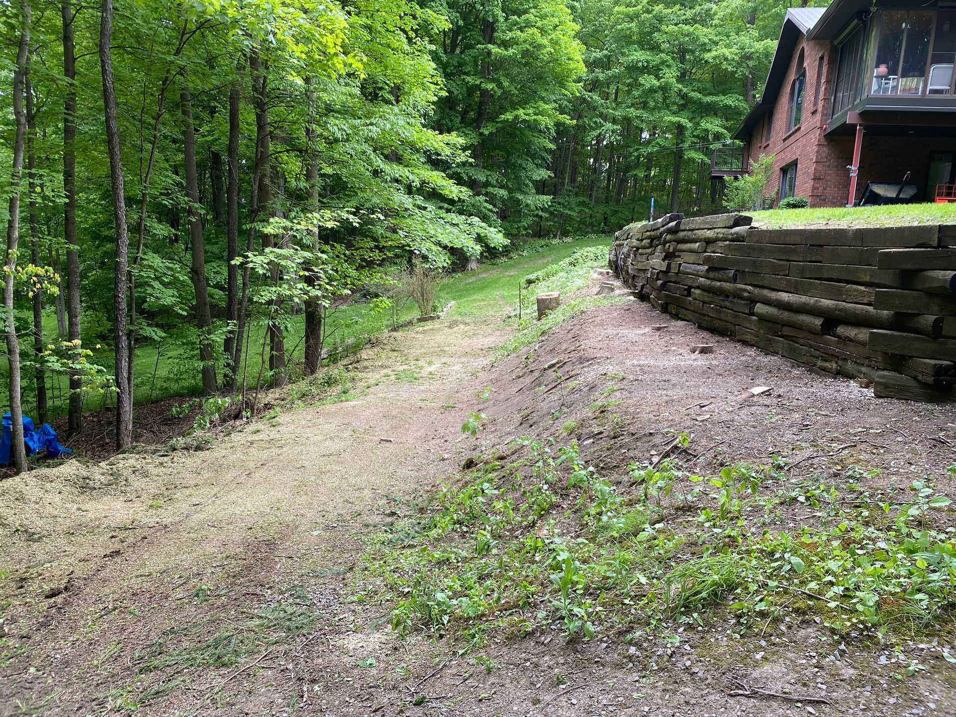 a dirt road leading to a house in the woods .