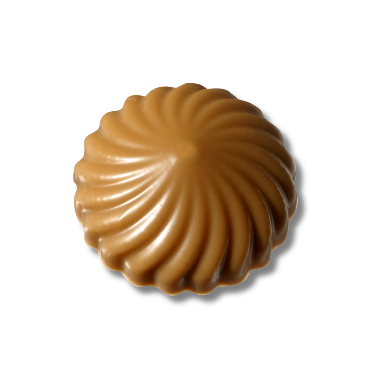 Photo chocolat praliné pécan dulcey