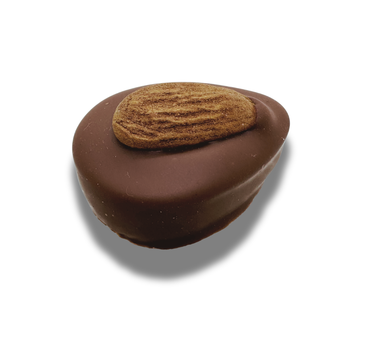 Photo chocolat praliné pure amande lait