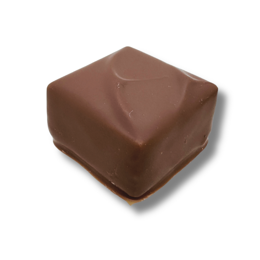 Photo chocolat praliné pure noisette noir