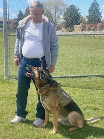 Reno Dog & Puppy Training Near Me