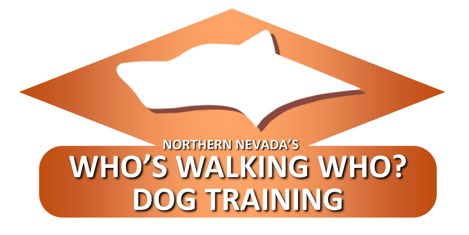 S. Lake Tahoe Dog Training
