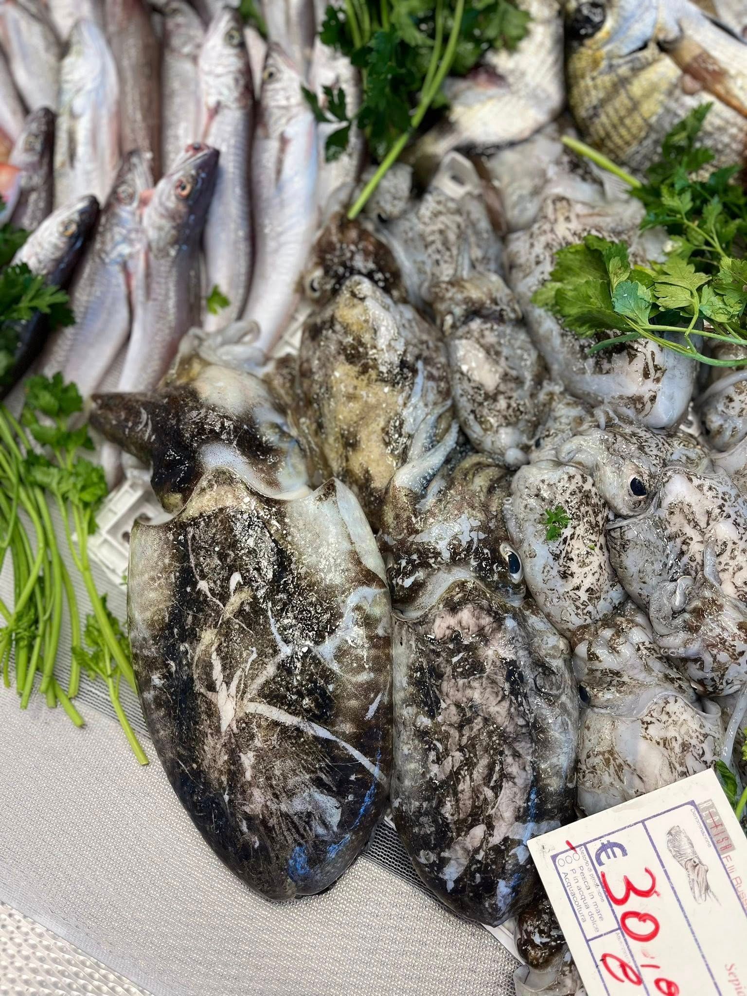 Esposizione di pesce fresco, calamari e pesce su ghiaccio, con prezzemolo e cartellino del prezzo.