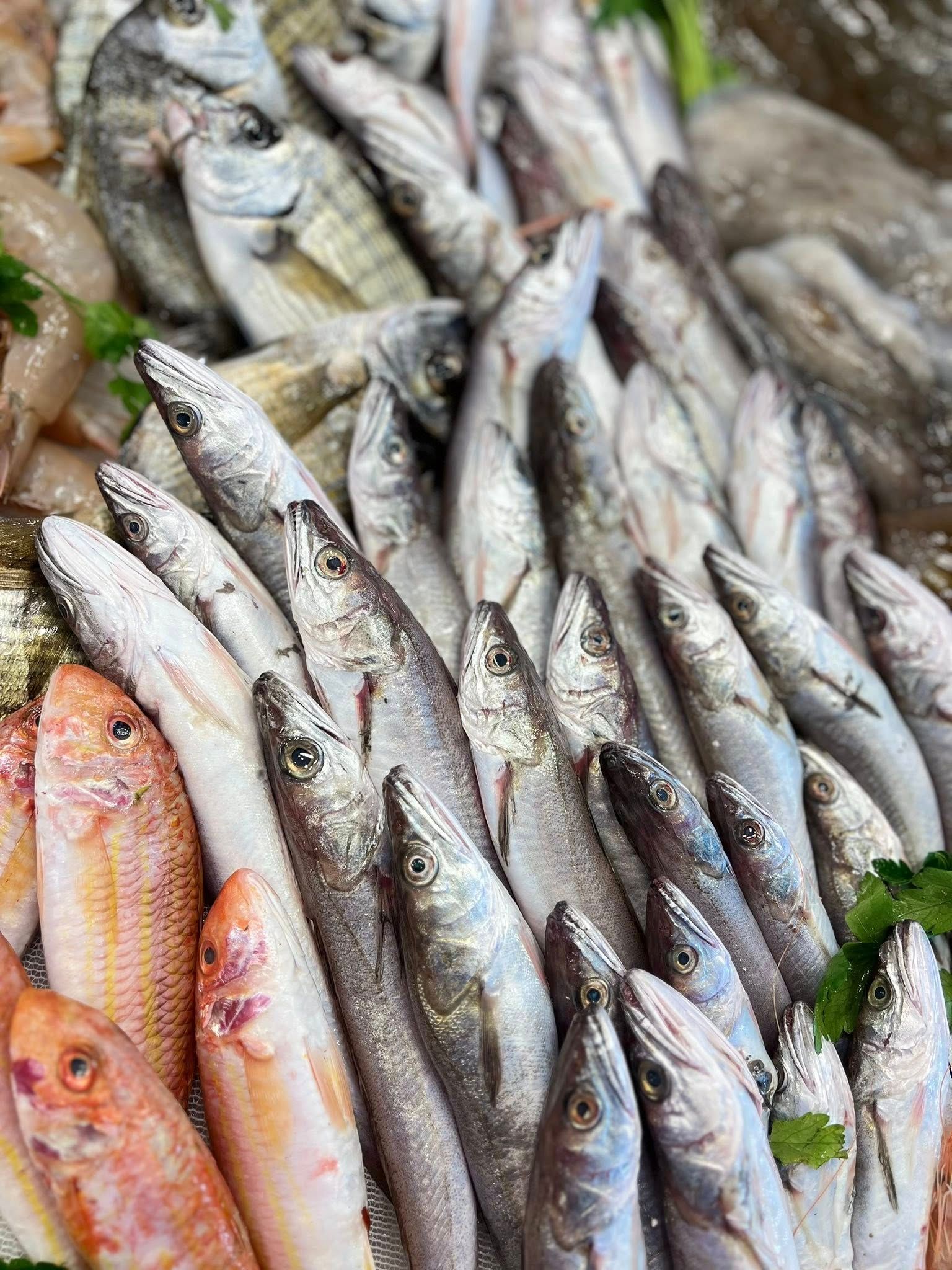 Esposizione di pesce fresco al mercato, comprese le varietà rosse e grigie.