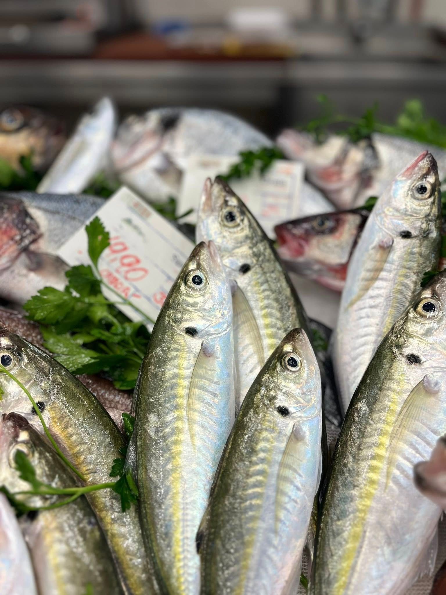 Esposizione di pesce fresco al mercato, argento e bianco con prezzemolo verde e cartellini dei prezzi.