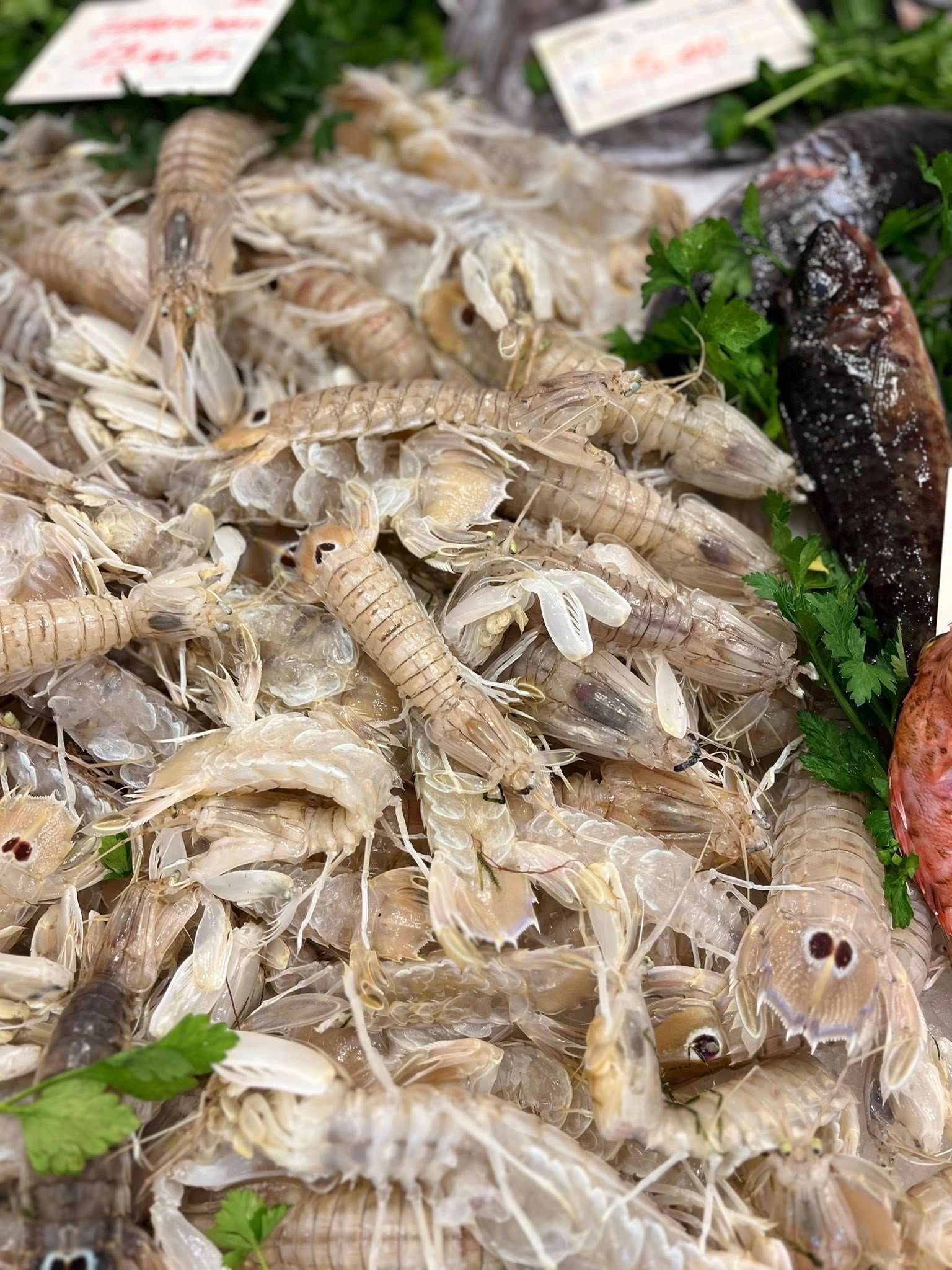 Un mucchio di gamberetti mantidi freschi e qualche pesce in un mercato ittico.