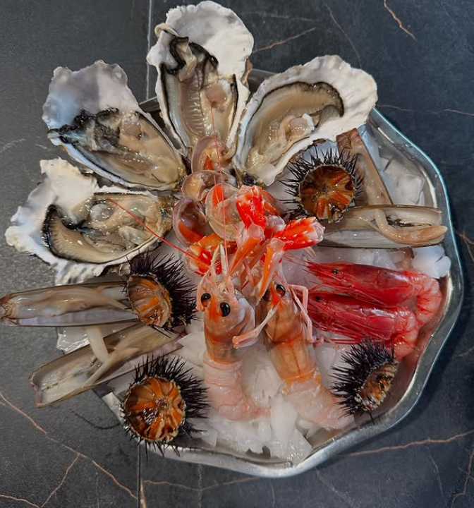 Piatto di frutti di mare con ostriche, gamberi, ricci di mare e cannolicchi su ghiaccio.