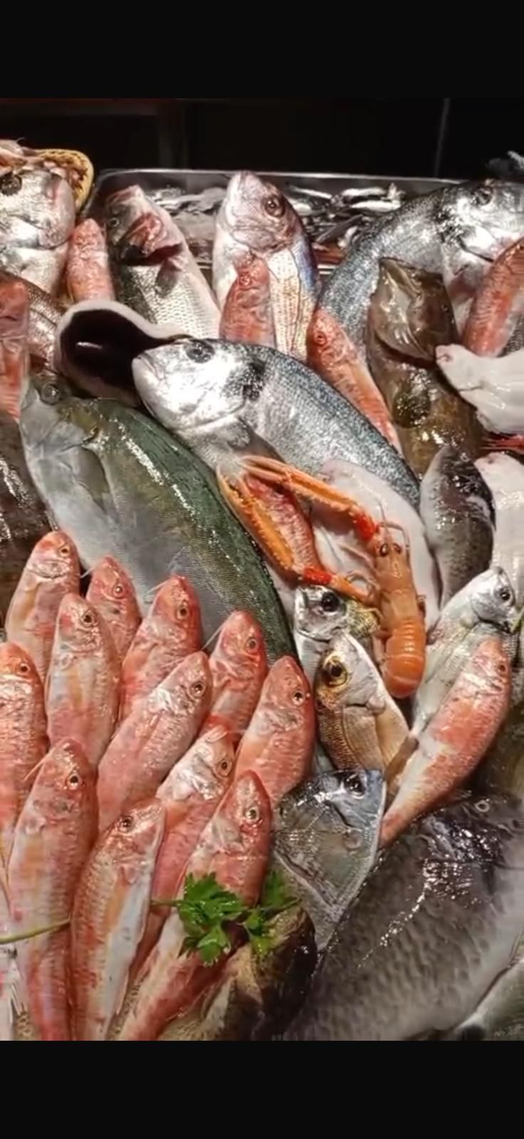 Vetrina di pesce fresco in un negozio con vari tipi di pesce fresco ed erbe aromatiche, illuminazione intensa.