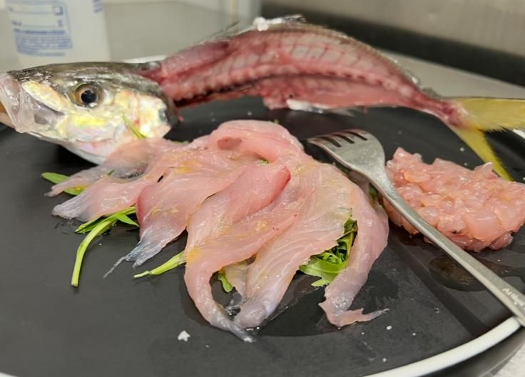 Tonno scottato, ricoperto di semi di sesamo nero, con rucola, glassa balsamica e fettine di mandorle su un piatto nero.