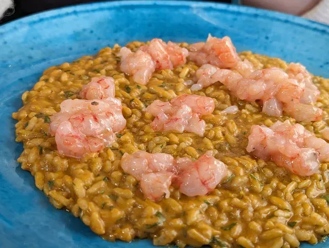 Risotto con gamberi cotti su un piatto blu.
