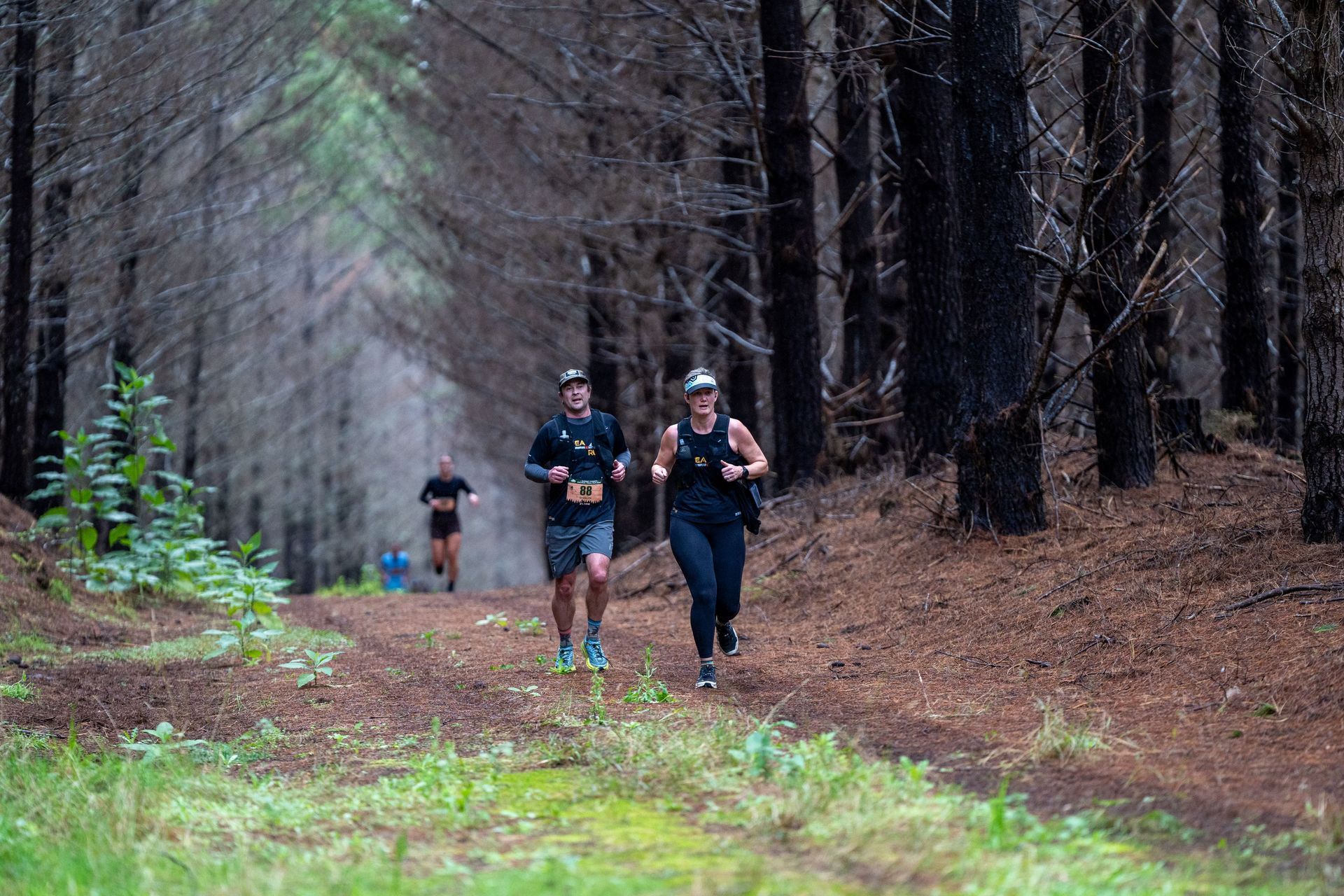 Kaitāia Trail Run