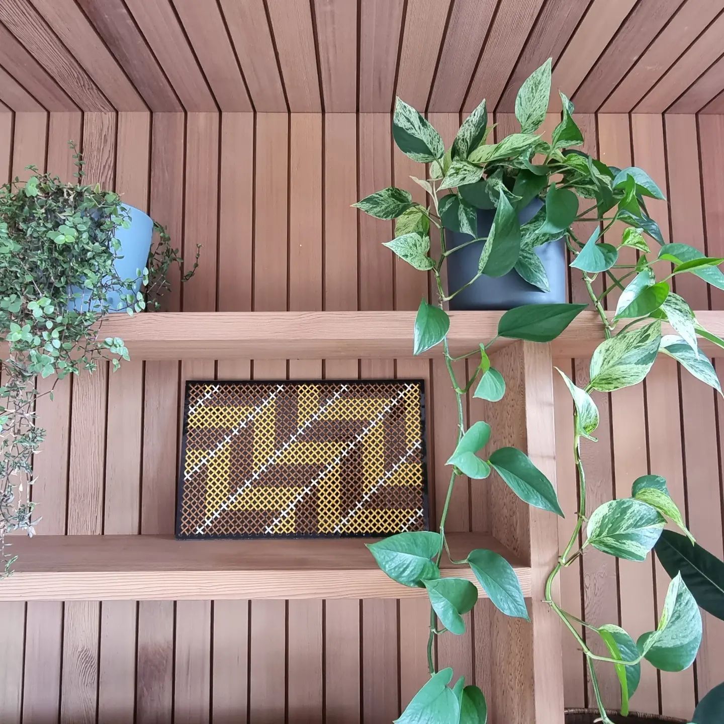 A wooden shelf with plants and a picture on it