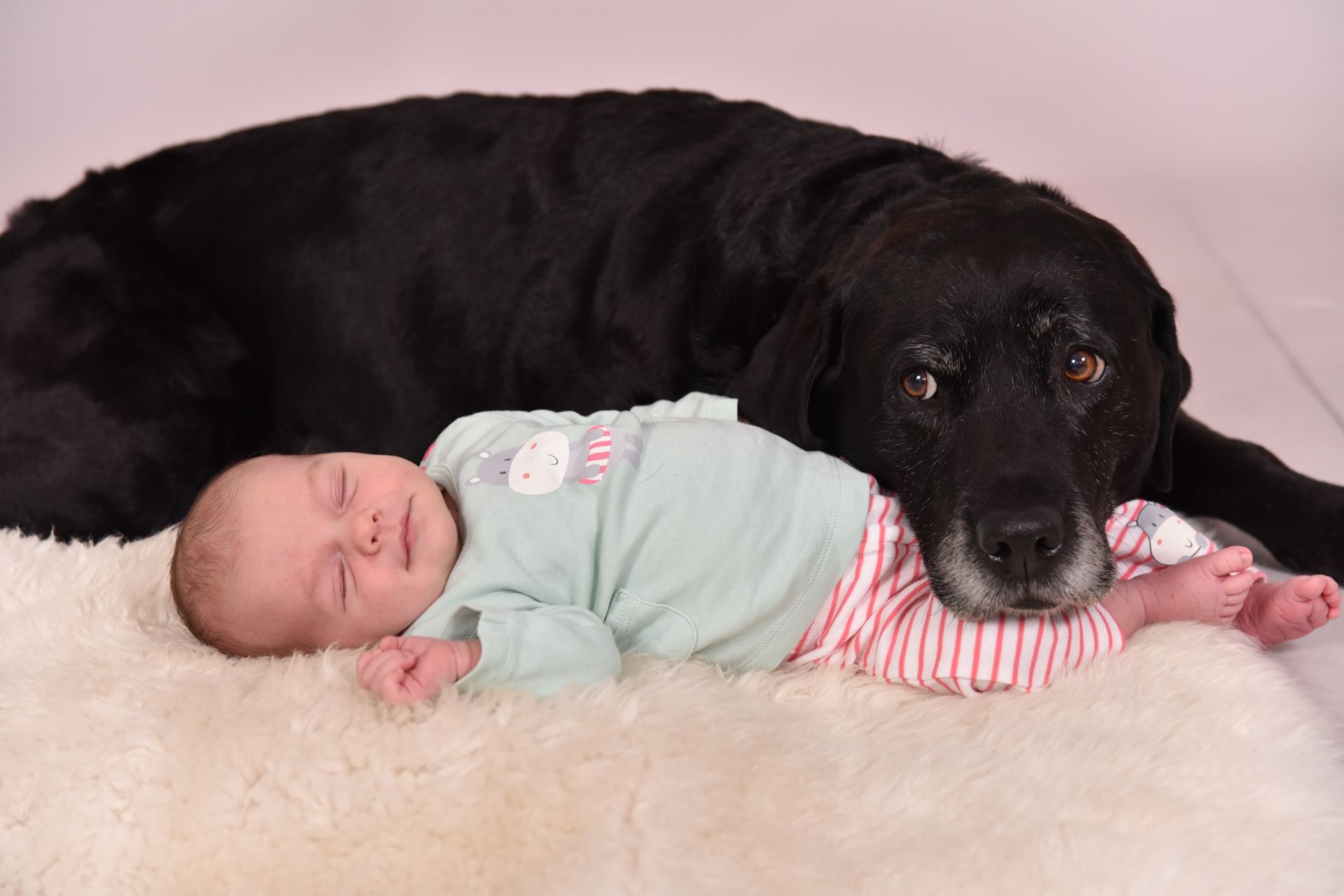 Fotografin Nienburg/Weser | Nicole Schröder | Neugeborene