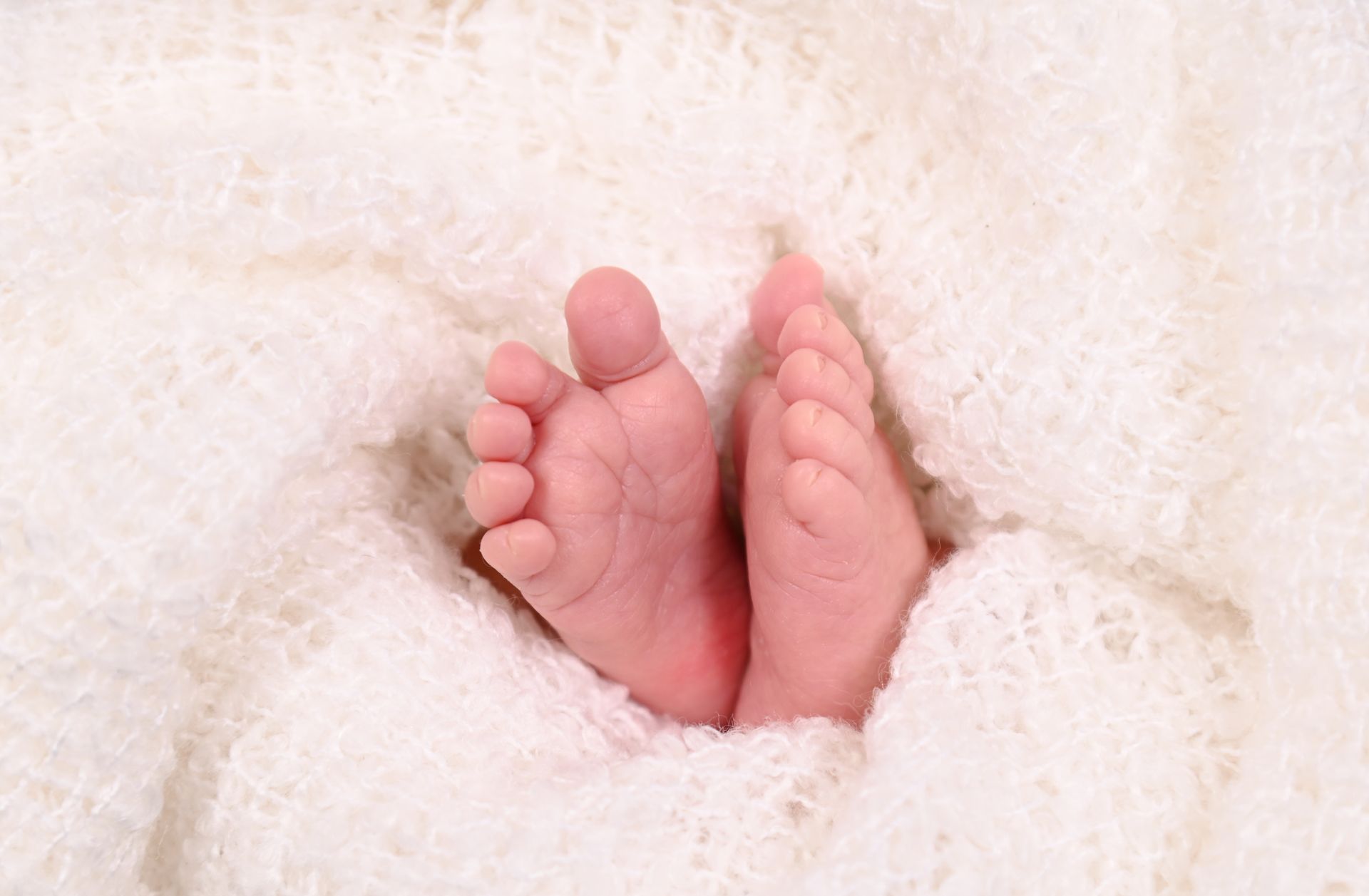 Fotografin Nienburg/Weser | Nicole Schröder | Neugeborene Fotografie